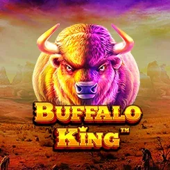 Portada del juego Buffalo King: cabeza de bisonte en primer plano ante una pradera al atardecer